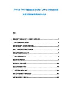 2025至2030中國四扁平無引線（QFN）封裝行業深度研究及發展前景投資評估分析