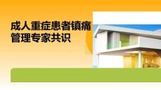 成人重癥患者鎮痛管理專家共識