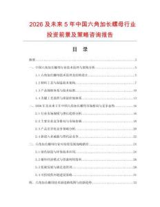 2026及未來5年中國六角加長螺母行業(yè)投資前景及策略咨詢報(bào)告