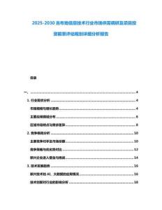 2025-2030吉布地信息技術行業(yè)市場供需調研及項目投資前景評估規(guī)劃詳細分析報告