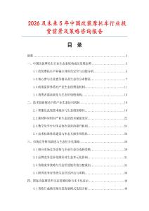 2026及未來5年中國改裝摩托車行業(yè)投資前景及策略咨詢報(bào)告