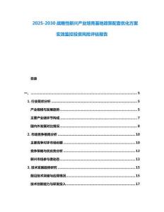 2025-2030戰略性新興產業培育基地政策配套優化方案實效監控投資風險評估報告