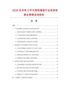 2026及未來5年中國鉛錫板行業(yè)投資前景及策略咨詢報告