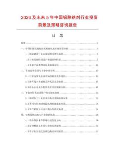 2026及未來5年中國鋁除鐵劑行業投資前景及策略咨詢報告