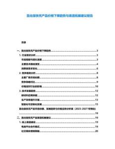 氮化鎵快充產品價格下降趨勢與渠道拓展建議報告