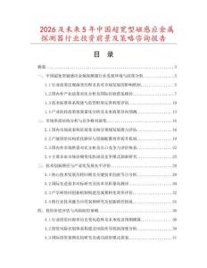 2026及未來5年中國超寬型磁感應金屬探測器行業投資前景及策略咨詢報告