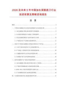 2026及未來5年中國加長深圓底刀行業投資前景及策略咨詢報告