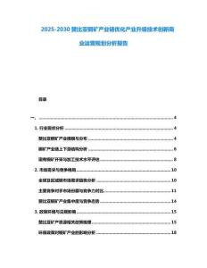 2025-2030贊比亞銅礦產業鏈優化產業升級技術創新商業運營規劃分析報告