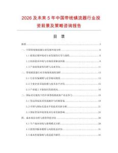 2026及未來5年中國帶線鎮(zhèn)流器行業(yè)投資前景及策略咨詢報(bào)告