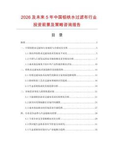 2026及未來5年中國鋁鐵水過濾布行業(yè)投資前景及策略咨詢報告