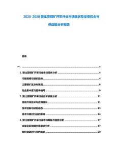 2025-2030贊比亞銅礦開采行業市場現狀及投資機會與供應鏈分析報告