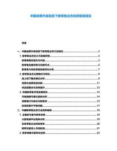 中國消費升級背景下新零售業態投資前景報告