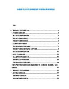 中國電子支付市場格局演變與跨境業務拓展研究