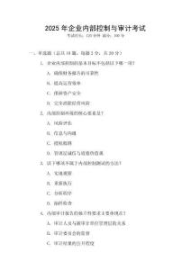 2025年企業內部控制與審計考試