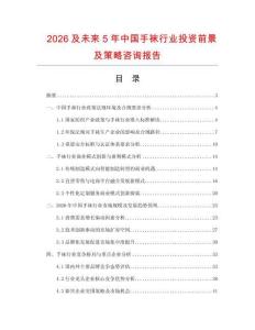 2026及未來5年中國手襪行業(yè)投資前景及策略咨詢報告