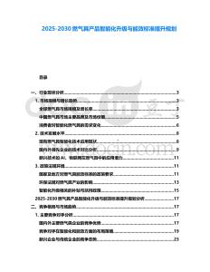 2025-2030燃氣具產(chǎn)品智能化升級與能效標準提升規(guī)劃