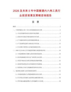 2026及未來5年中國普通內六角工具行業投資前景及策略咨詢報告