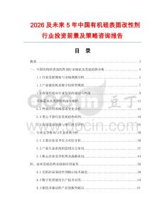 2026及未來5年中國有機硅表面改性劑行業投資前景及策略咨詢報告