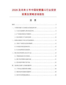 2026及未來5年中國(guó)軟管漏斗行業(yè)投資前景及策略咨詢報(bào)告