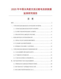 2025年中國光角度交流過載電流表數據監測研究報告