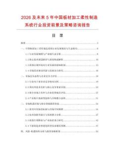 2026及未來5年中國板材加工柔性制造系統行業投資前景及策略咨詢報告