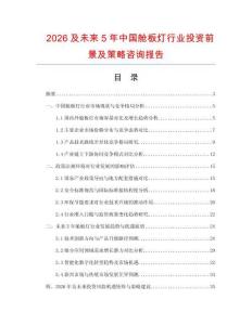 2026及未來5年中國艙板燈行業(yè)投資前景及策略咨詢報告