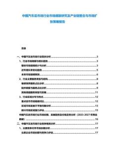 中國汽車后市場行業(yè)市場細(xì)致研究及產(chǎn)業(yè)鏈整合與市場擴(kuò)張策略報告