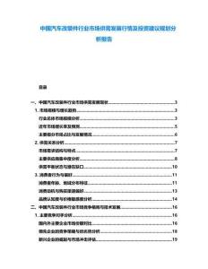 中国汽车改装件行业市场供需发展行情及投资建议规划分析报告