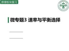 高中化學精品課件：速率與平衡選擇