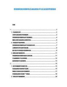 特克斯和凱科斯群島石油鉆探技術(shù)與企業(yè)投資考察規(guī)劃