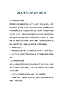 2025年双软认定申请流程