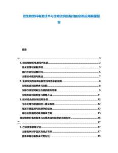 微生物燃料電池技術與生物改良劑結合的創新應用展望報告