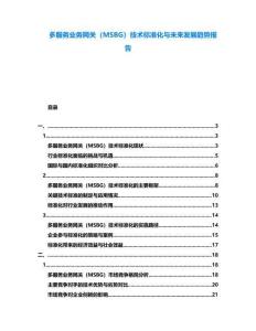 多服務業務網關（MSBG）技術標準化與未來發展趨勢報告