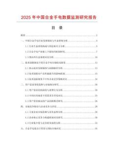 2025年中國合金手電數據監測研究報告