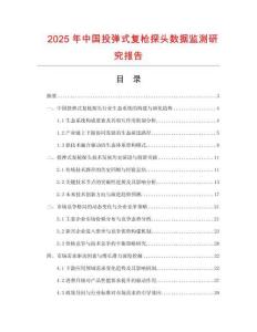 2025年中國投彈式復(fù)槍探頭數(shù)據(jù)監(jiān)測研究報(bào)告