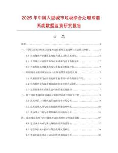 2025年中国大型城市垃圾综合处理成套系统数据监测研究报告