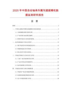 2025年中國(guó)自動(dòng)軸承外圈溝道超精機(jī)數(shù)據(jù)監(jiān)測(cè)研究報(bào)告