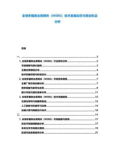 全球多服務(wù)業(yè)務(wù)網(wǎng)關(guān)（MSBG）技術(shù)發(fā)展動態(tài)與商業(yè)機(jī)會分析
