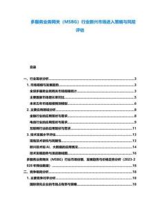 多服務(wù)業(yè)務(wù)網(wǎng)關(guān)（MSBG）行業(yè)新興市場進(jìn)入策略與風(fēng)險評估