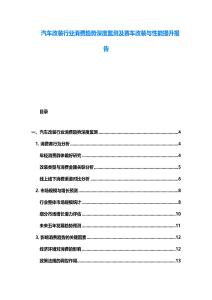 汽車改裝行業(yè)消費(fèi)趨勢(shì)深度監(jiān)測(cè)及賽車改裝與性能提升報(bào)告