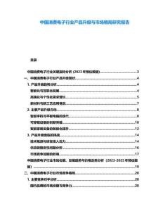 中國消費(fèi)電子行業(yè)產(chǎn)品升級(jí)與市場格局研究報(bào)告