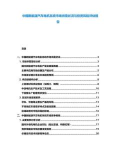 中國新能源汽車電機系統(tǒng)市場供需狀況與投資風(fēng)險評估報告
