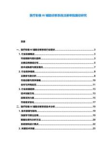 醫(yī)療影像AI輔助診斷系統(tǒng)注冊審批路徑研究