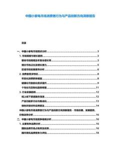 中國小家電市場消費者行為與產品創新方向洞察報告