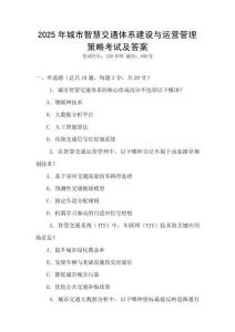 2025年城市智慧交通體系建設與運營管理策略考試及答案