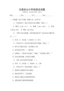 云南文山小升初語文試題