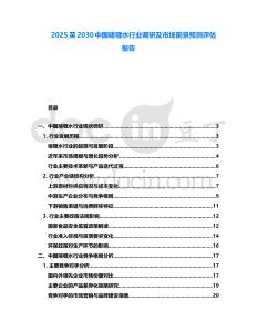 2025至2030中國啫喱水行業調研及市場前景預測評估報告