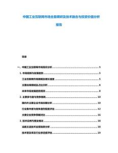 中國工業互聯網市場全面調研及技術融合與投資價值分析報告