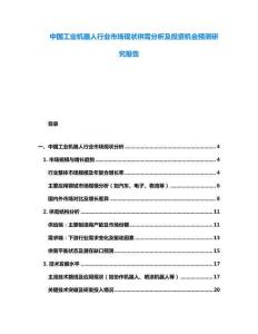 中國(guó)工業(yè)機(jī)器人行業(yè)市場(chǎng)現(xiàn)狀供需分析及投資機(jī)會(huì)預(yù)測(cè)研究報(bào)告