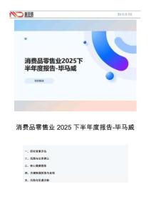 消費品零售業2025下半年度報告